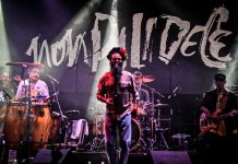 Agenda Cultural del Conurbano Norte: Nonpalidece, Litto Nebbia, Pablo Fábregas y más espectáculos para las próximas semanas