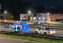 Accidente fatal: una persona murió al ser embestida por una camioneta cuando cruzaba Panamericana
