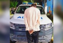 Belgrano Norte: una joven fue lanzada desde el tren en movimiento durante un robo y hay un detenido