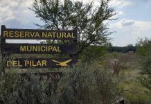 Cine bajo las estrellas: proyección y debate sobre el cambio climático en la reserva de Pilar