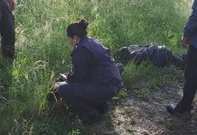 Violento robo comando en un country de zona norte terminó en un tiroteo: un policía herido y tres detenidos