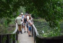 Primavera en la Reserva Natural de Vicente López: un paseo entre aves, costa y naturaleza