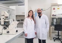 Científicos del CONICET lograron neutralizar el virus del dengue con un novedoso compuesto