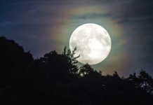 La Reserva Natural de Pilar tendrá la primera caminata bajo la luna llena del año