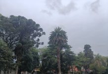 Nieblas, frío y posibles lluvias en el AMBA para este semana: así estará el tiempo