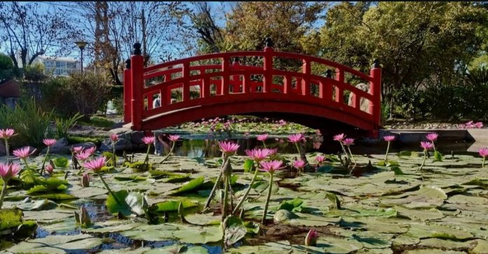 jardin-japones-escobar-009