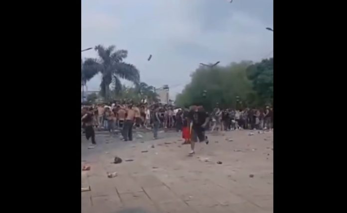 batalla campal tigre