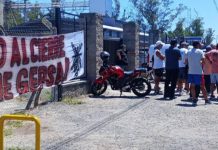 Cerró una empresa de alimentos para animales en Pilar y 80 trabajadores quedaron sin empleo