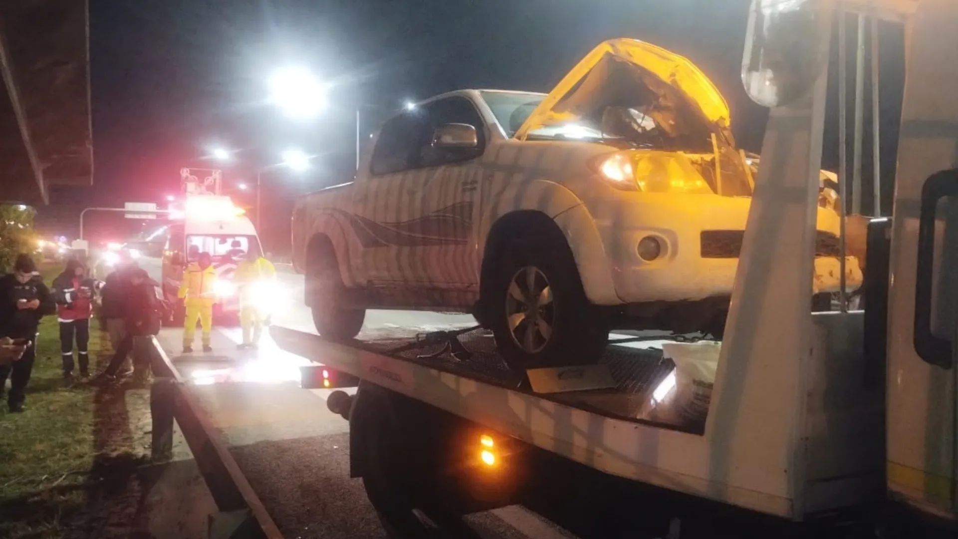 Un caballo galopaba suelto por Panamericana y murió tras ser embestido por una camioneta