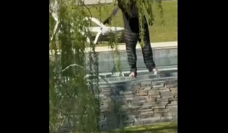 Video: denunciaron a un hombre por disparar contra un carpincho en Nordelta