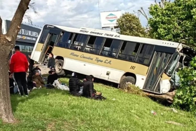 Tigre: un colectivo de la línea 228 chocó con un auto, cayó a un zanjón y doce personas resultaron heridas