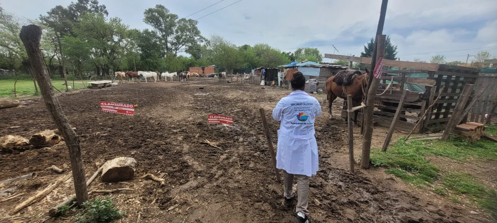 Clausuraron un predio de cuidado de caballos en Escobar por funcionar sin habilitación municipal