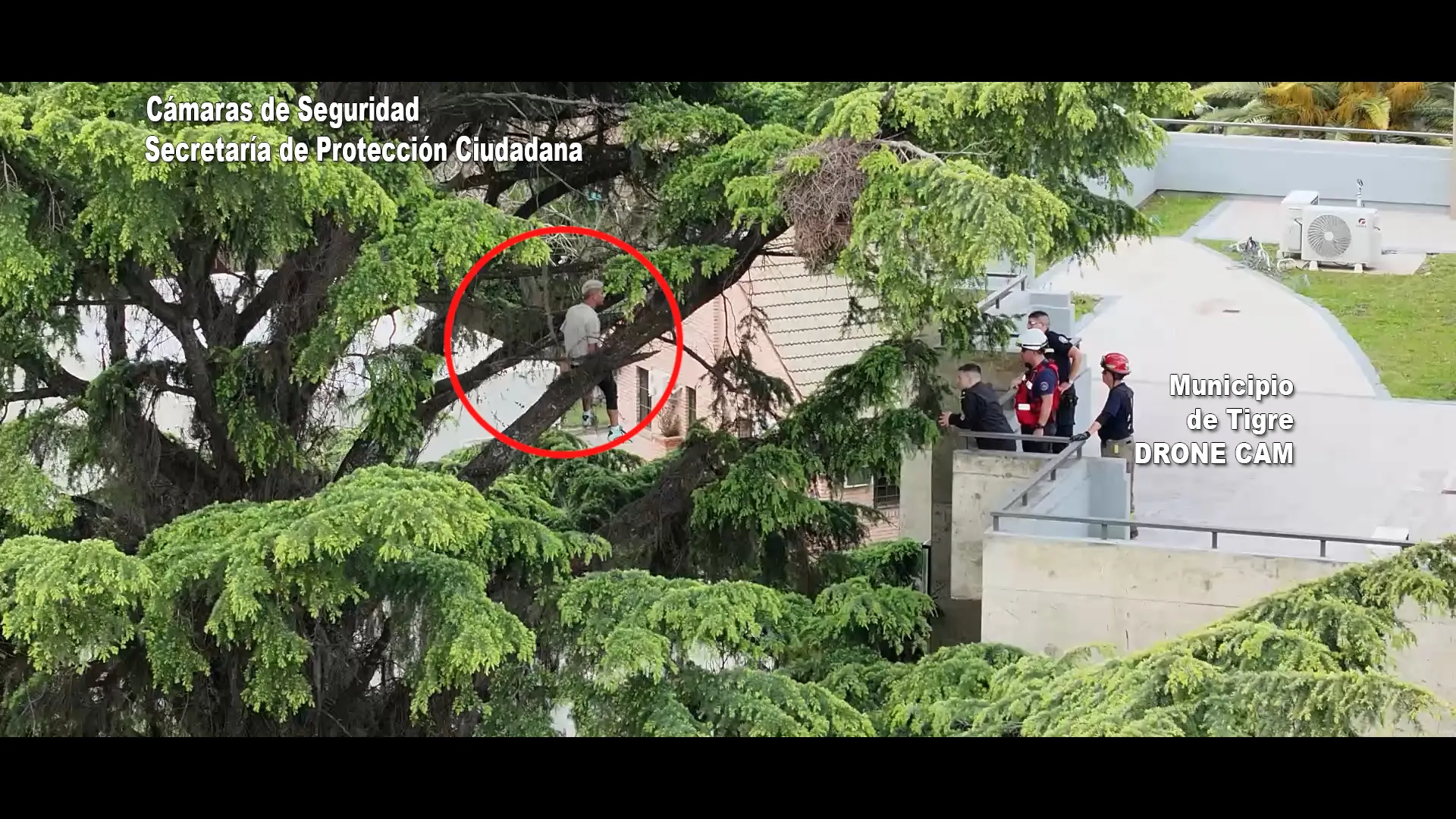Tigre: entró a robar a una casa, quiso escapar por un árbol y tuvieron que rescatarlo para detenerlo